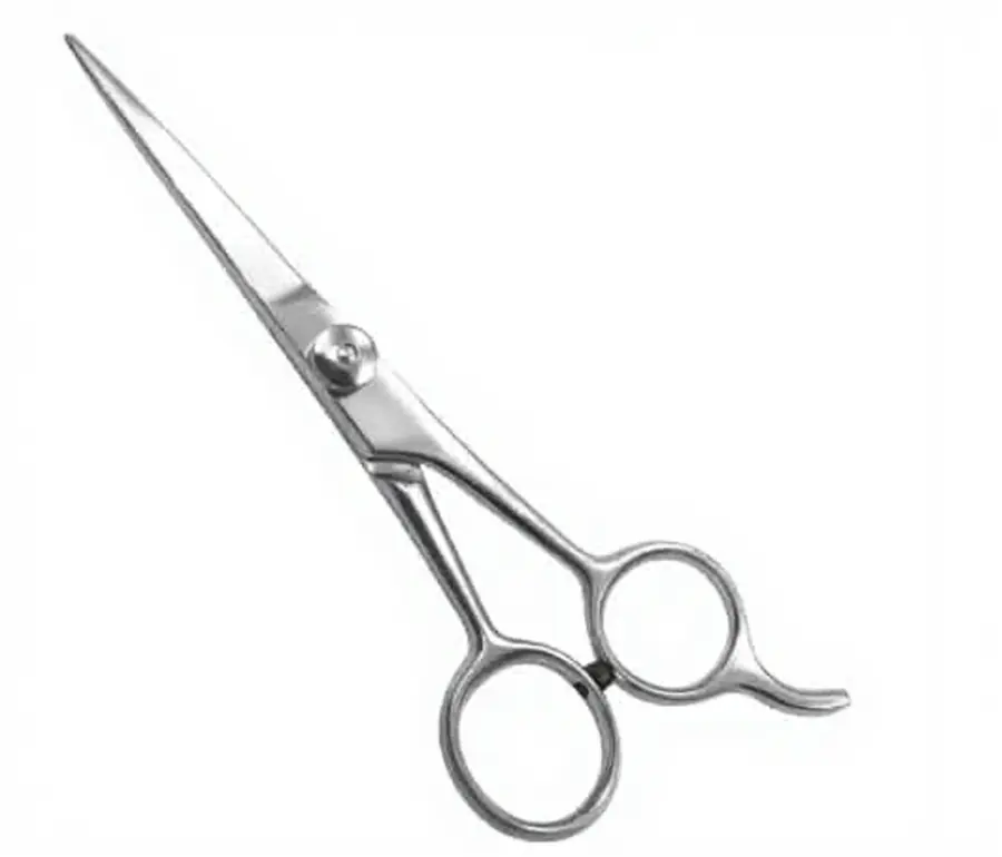 Professional Hair Cutting Shear
