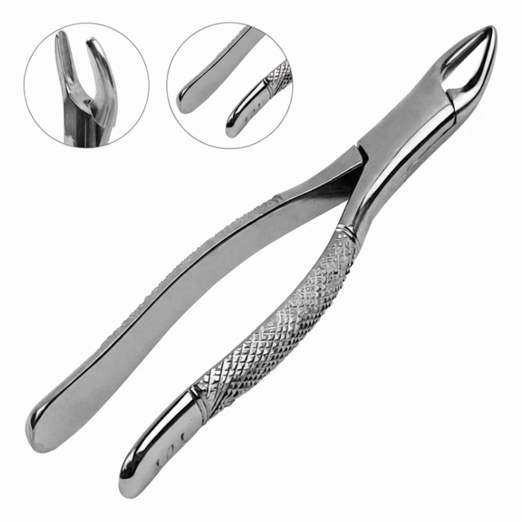 Dental Extracting Forceps